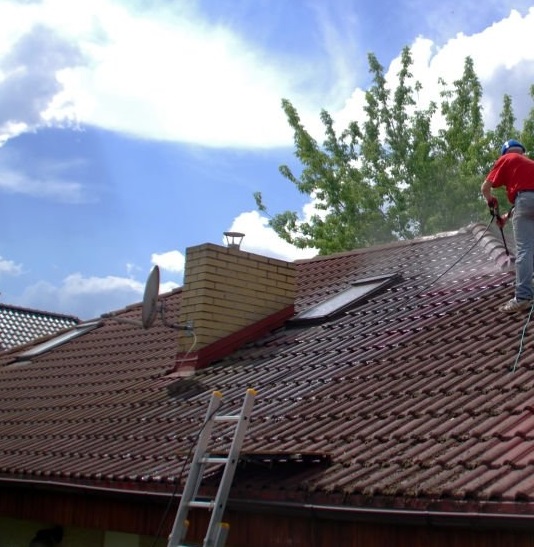 Soft Washing Roof